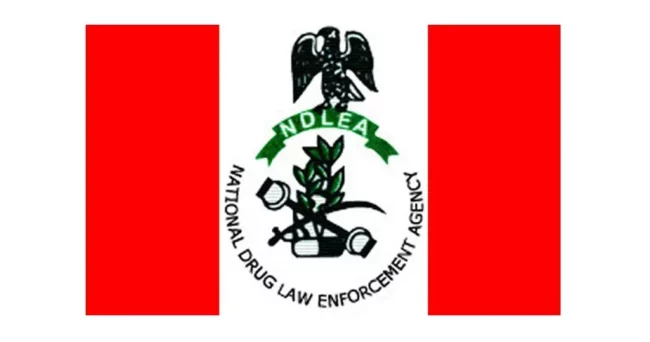 NDLEA réhabilite 25 toxicomanes,