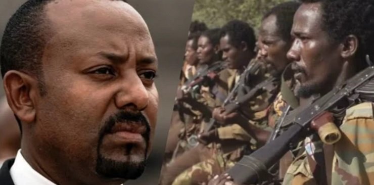 OLA/Shene s'empare de Kebele à 75 km d'Addis