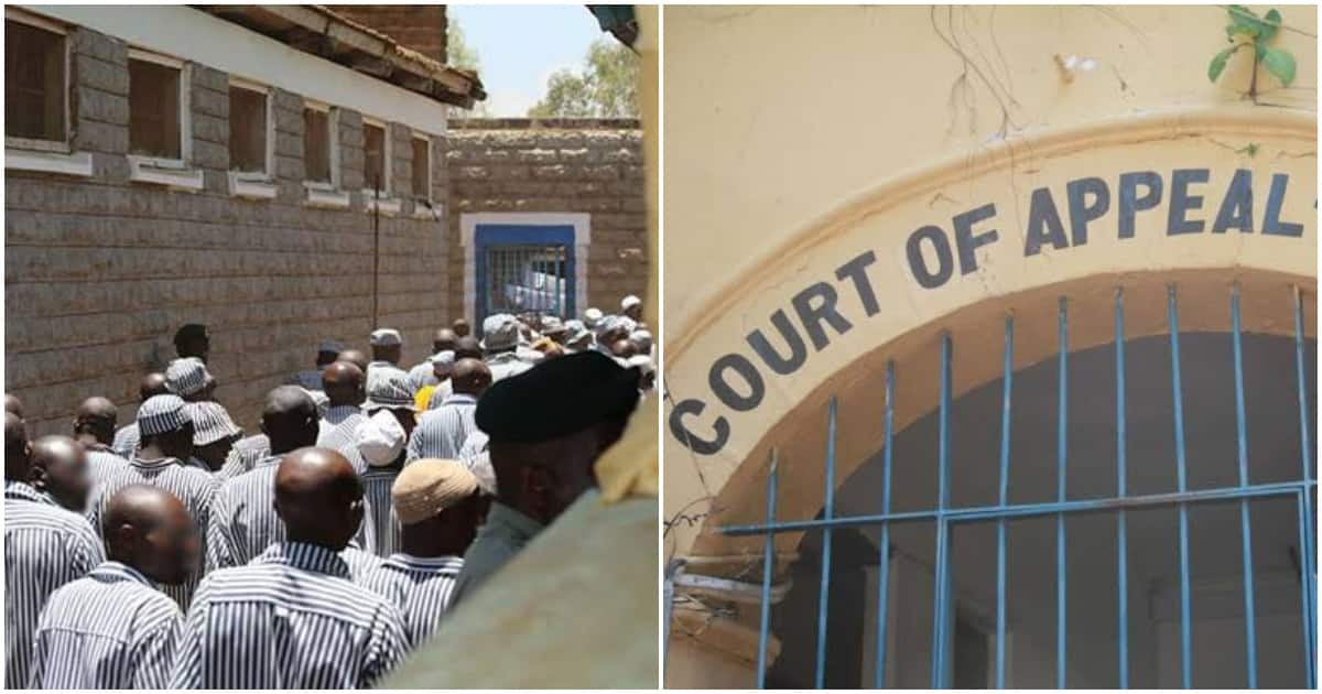 La Cour d'appel déclare l'emprisonnement à vie inconstitutionnel dans un jugement historique