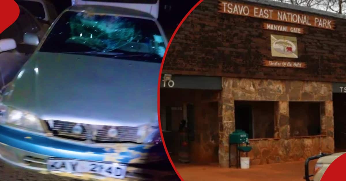 Tsavo National Park entrance.