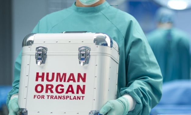 Organ transplant - file
