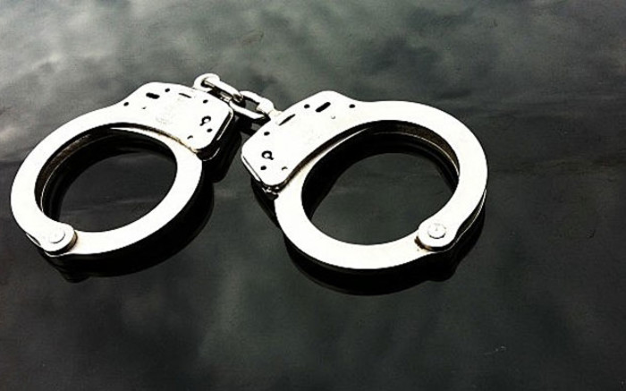 Des faucons arrêtent un suspect en lien avec le vol de 51 cornes de rhinocéros