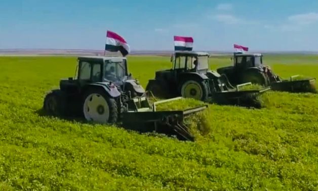 FILE - Reclaimed land in Egypt