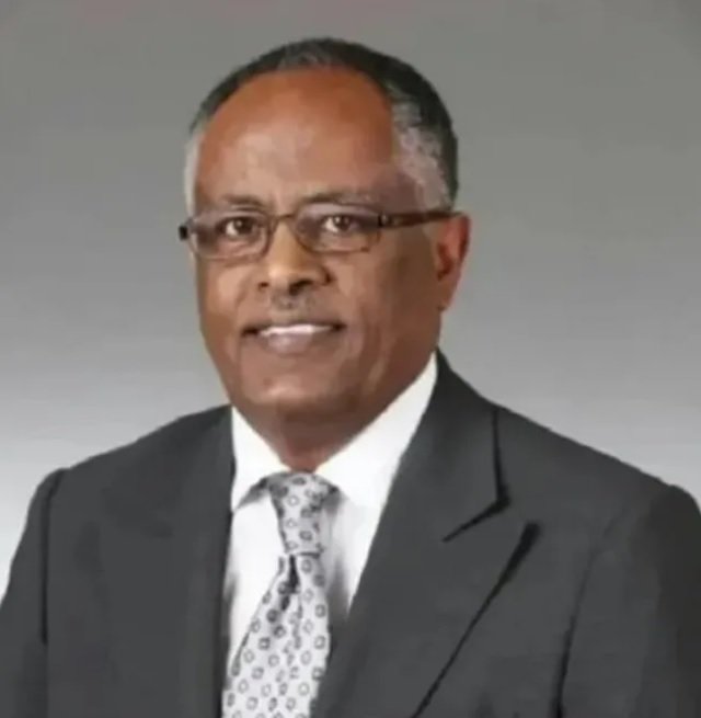 BRICS Ethiopia _ Yonas article