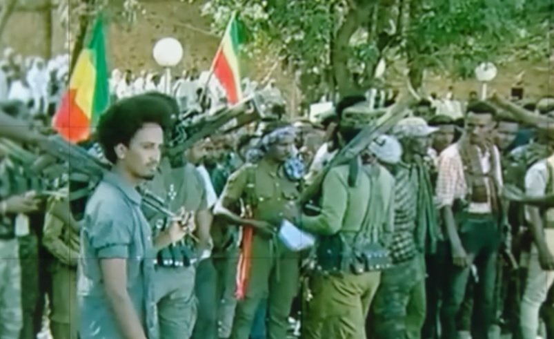 Amharas : Les nouveaux Tutsi ?  Génocide du peuple Amhara parrainé par l'État