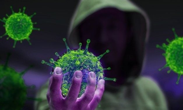 Coronavirus (COVID-19)- CC VIA PIXABAY/ fernandozhiminaicela