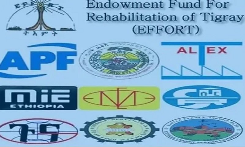 EFFORT _ TPLF Business