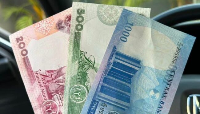 Le Naira chute pour la énième fois alors que les prix des denrées alimentaires augmentent