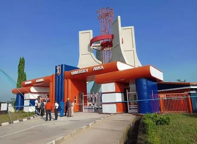 Unizik rétrograde des professeurs excités pour cause de sexualité féminine
