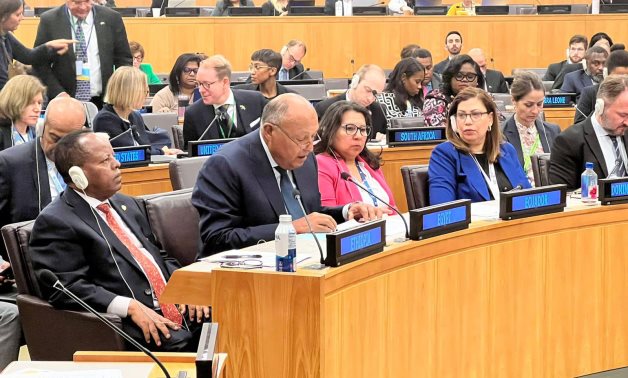 Choukry appelle à une mise en œuvre fidèle du programme de développement durable