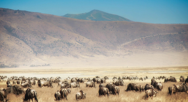 De nouvelles portes d'entrée pour la zone de conservation du Ngorongoro pour améliorer les services