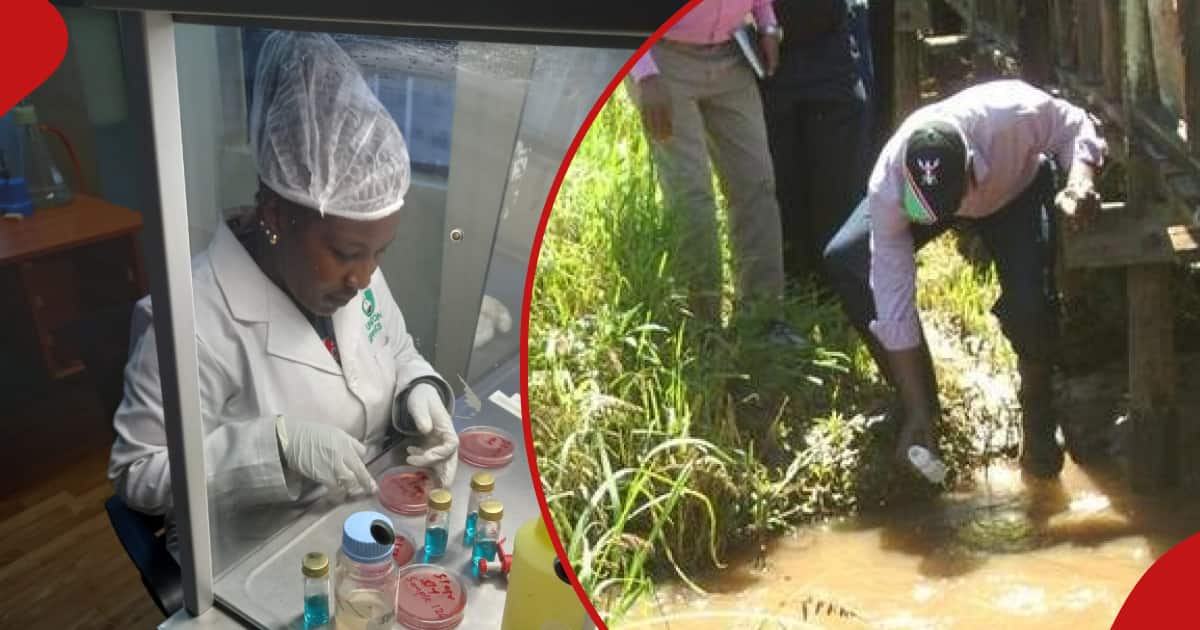 Des physiciens kenyans demandent la reconnaissance de William Ruto : « Appel à la reconnaissance »