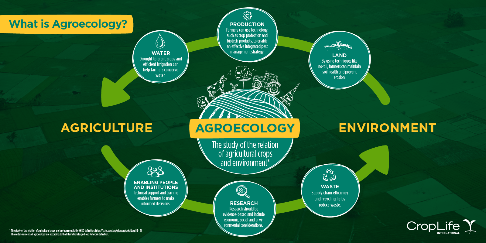 Focus sur l’agroécologie pour assurer la sécurité alimentaire en Afrique