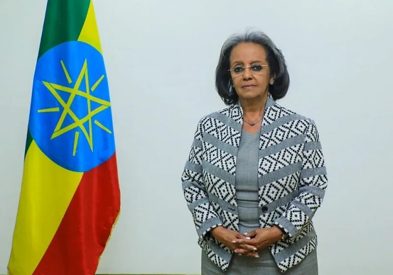 Ethiopia political difference _ Sahlework