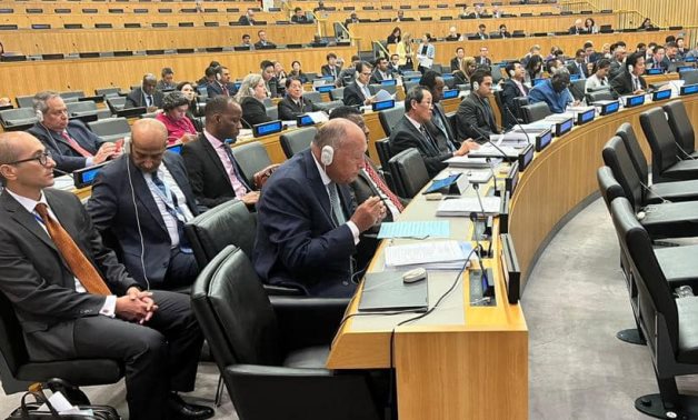 Le ministre des Affaires étrangères Sameh Choukry affirme le soutien de l'Egypte au GDI depuis son lancement