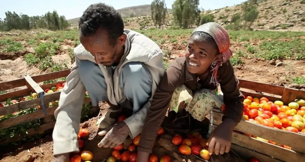 Ethiopian Economy _  borgen magazine