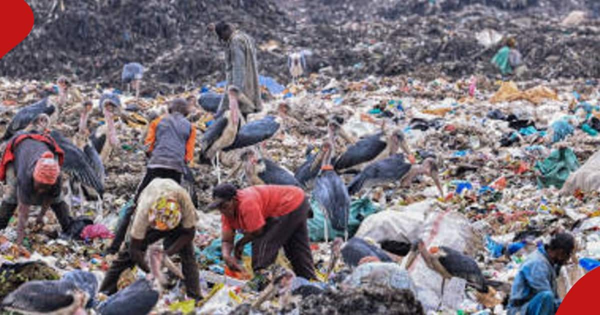 Nairobi : Le gouvernement réfléchit à la conversion de la décharge de Dandora en centrale énergétique