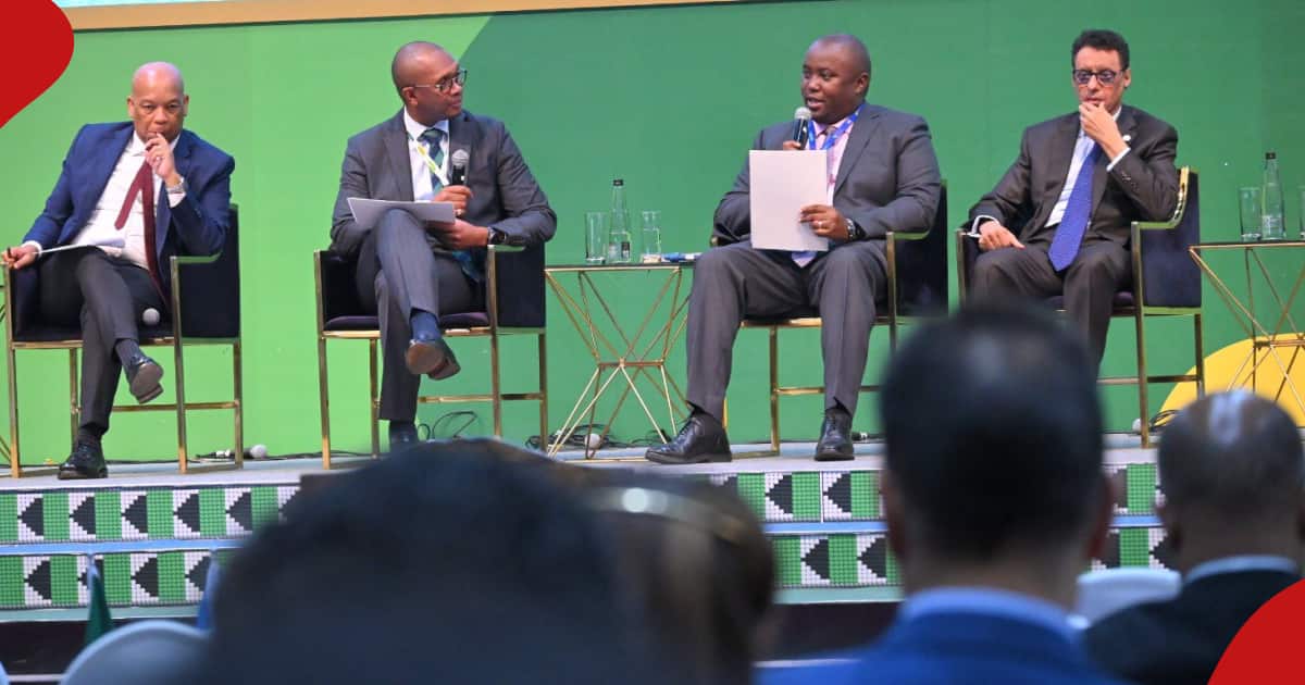 Sommet africain sur le climat : les dirigeants africains proposent l’utilisation d’une monnaie unique pour aborder l’action en faveur du développement durable
