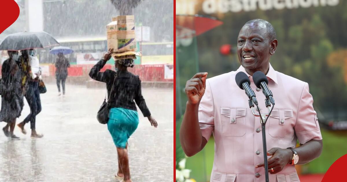 Les Kenyans réagissent après que William Ruto a révélé qu'il n'y aurait pas d'El Niño : « Na KSh 15 milliards Imeenda Wapi »