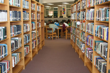 Construct functional libraries, e-libraries across 774 LGAs, Reps to FG