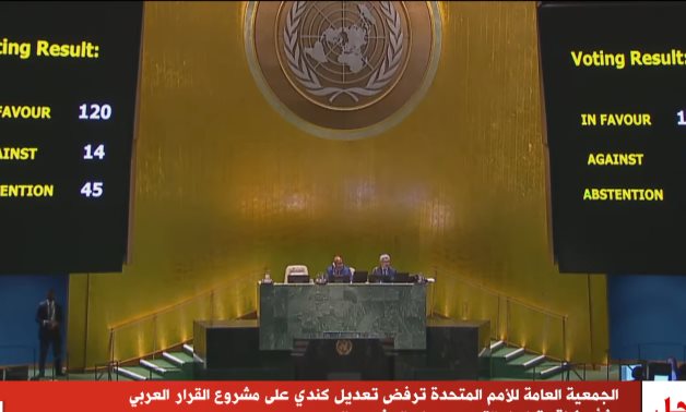 L'AGNU approuve une résolution arabe appelant à une trêve humanitaire immédiate à Gaza