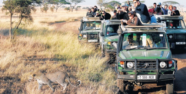 La Tanzanie enregistre une augmentation de 25 % des arrivées touristiques