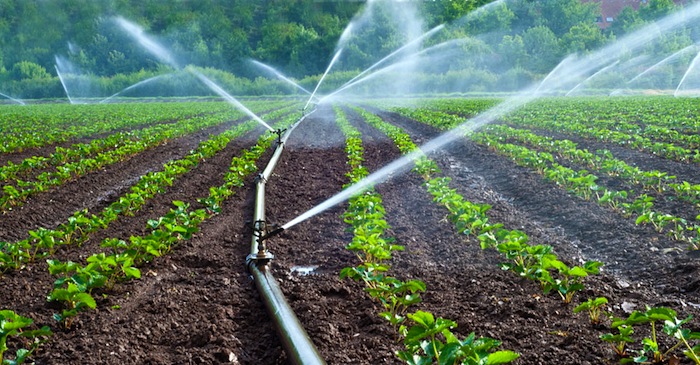 "Nous devrions nous souvenir de Nyerere en établissant des projets d'irrigation