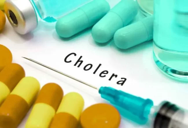Ogun et trois autres enregistrent les cas de choléra les plus élevés au Nigeria