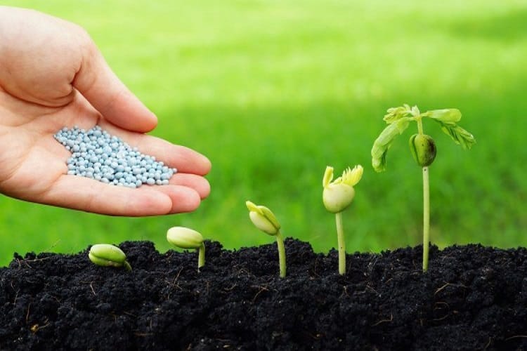 TBPL va commencer à produire des biopesticides
