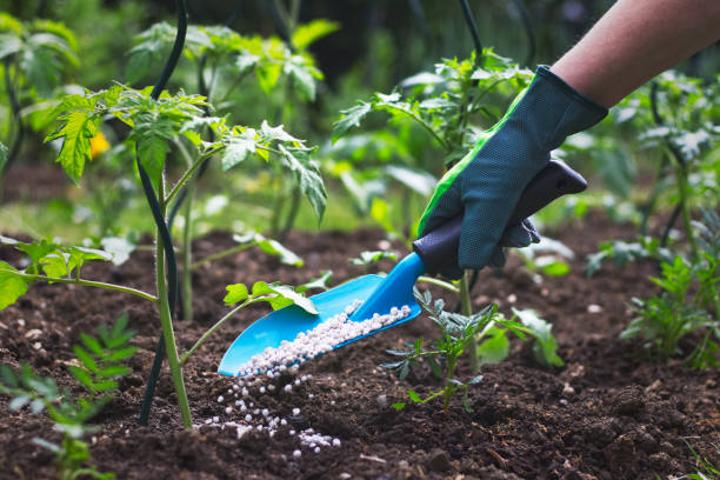 TFRA se vante de son succès dans l'utilisation des engrais