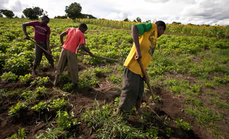 TGI AUDA-NEPAD FACAN Boehringer agric NRCRI
