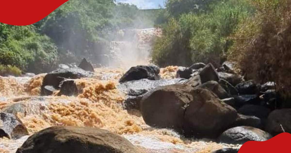 Narok : un homme de 22 ans se noie alors qu'il nageait après s'être retrouvé coincé dans une eau boueuse