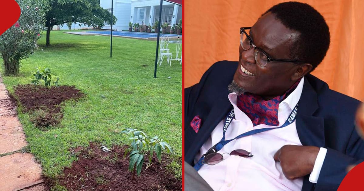 Mutahi Ngunyi présente un jardin parfaitement entretenu dans un vaste complexe : « Anaishi Kwa Hoteli »