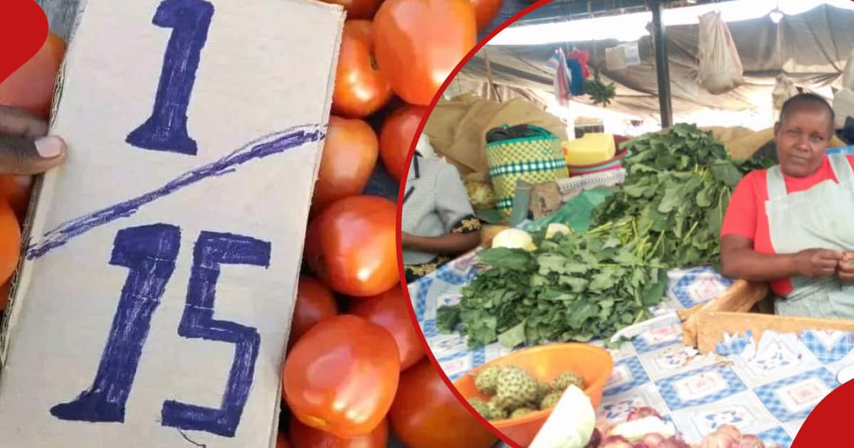 Les prix des tomates montent en flèche alors que de fortes pluies frappent la plupart des régions du pays : « Nyanya Nusu KSh 20 »