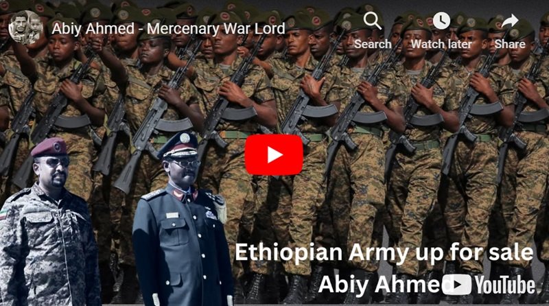 Abiy Ahmed – Seigneur de guerre mercenaire