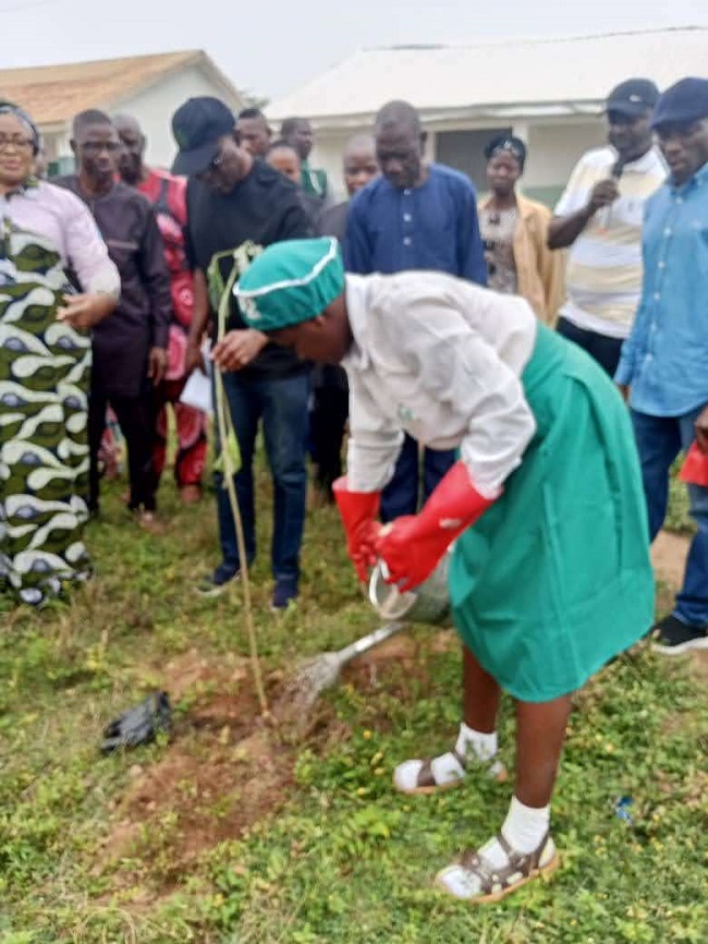 Le gouvernement de Kogi annonce la plantation de 17 166 arbres