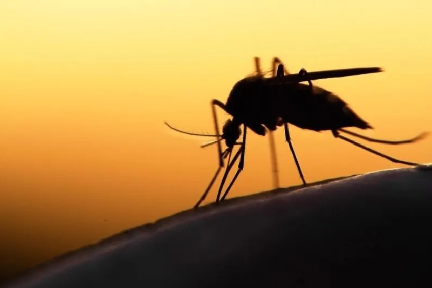 Ethiopia Malaria