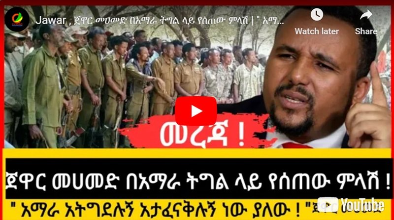 Représentation positive de M. Jawar Mohamed de la lutte pour la survie d'Amhara