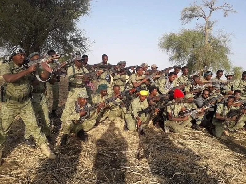 Fano forces - North Shoa-Ethiopia