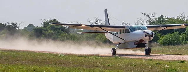 TANAPA explique la fermeture temporaire de la piste d'atterrissage de Saadani