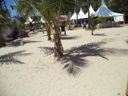 Tollé alors que des crétins armés attaquent le personnel et les clients du Pinewood Beach Resort