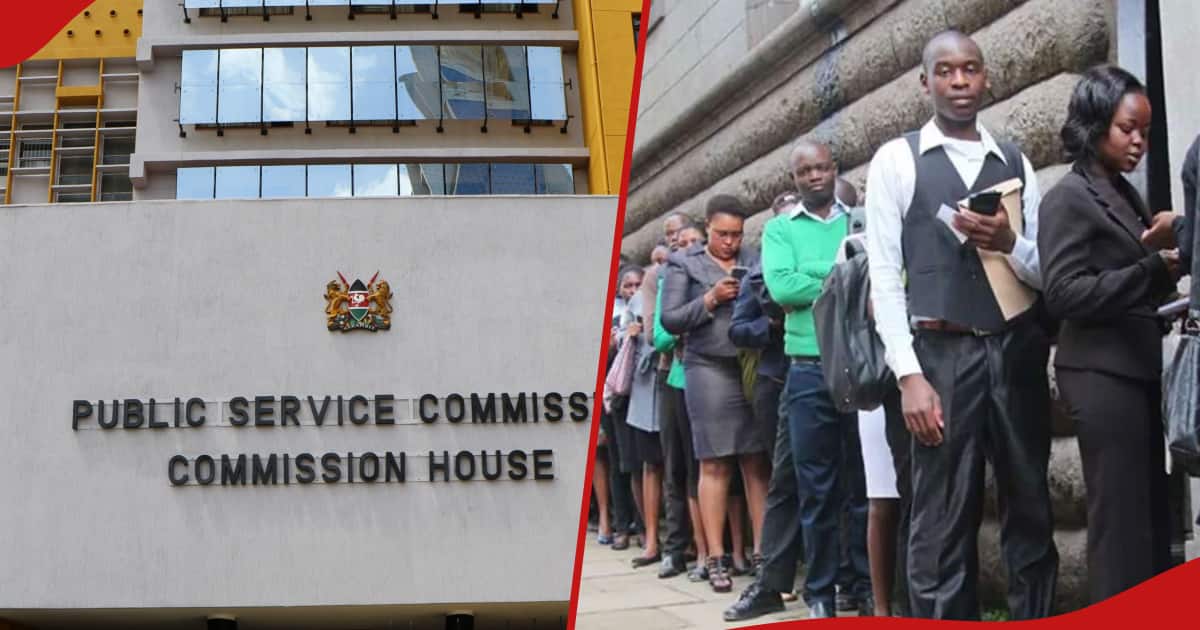 Le CFP annonce des postes vacants de bourses très convoités pour les jeunes Kenyans et partage les étapes simples pour postuler