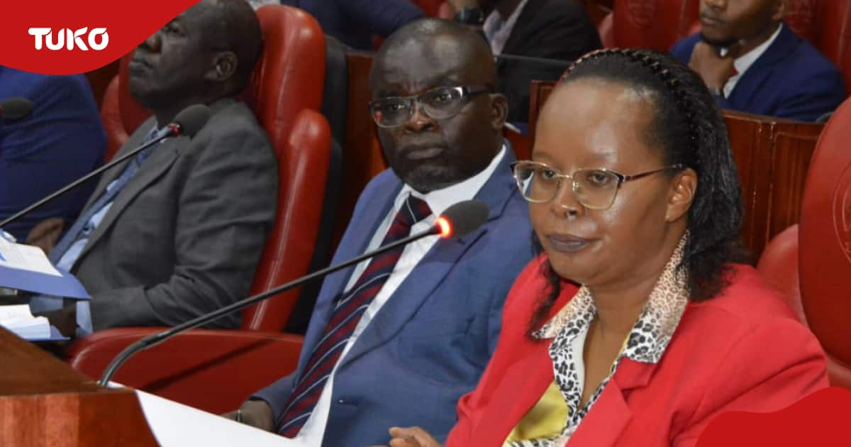 Les MCA de Nairobi interrogent le commissaire de la KRA sur le rôle de l'agence dans la collecte des recettes de la ville
