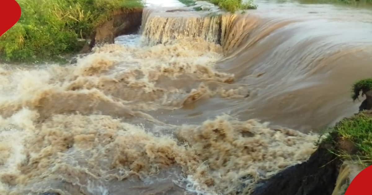 Kakamega : Une femme sauvée après avoir sauté dans une rivière en crue avec ses jumeaux de deux ans