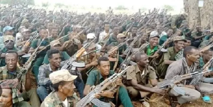 Conflit en cours dans la région d'Amhara en Éthiopie