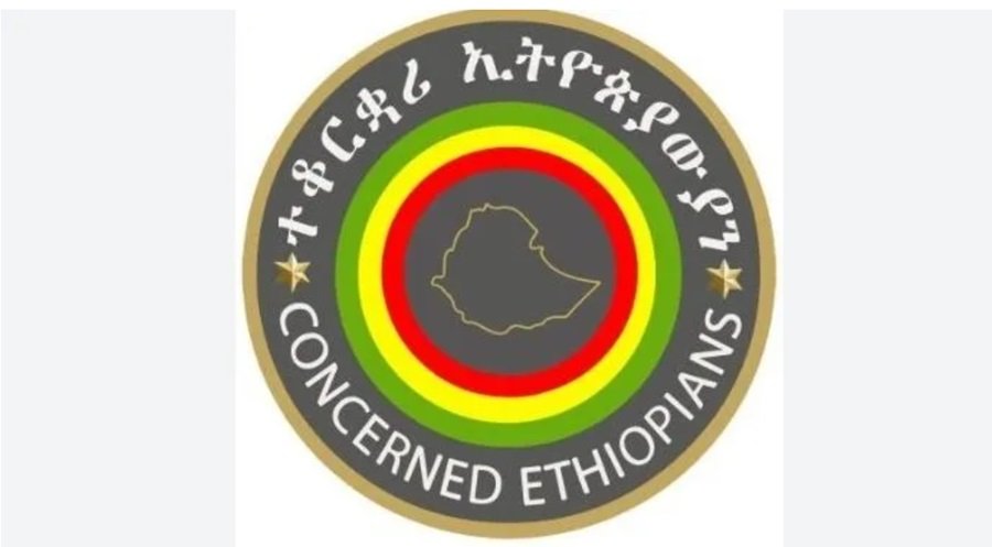 Concerned Ethiopians _ Ethiopian Diaspora