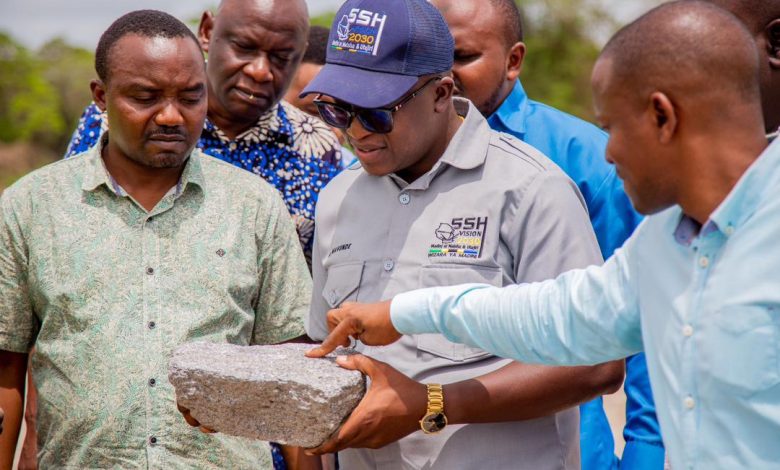 La Tanzanie va révoquer tous les permis miniers dormants – ministre