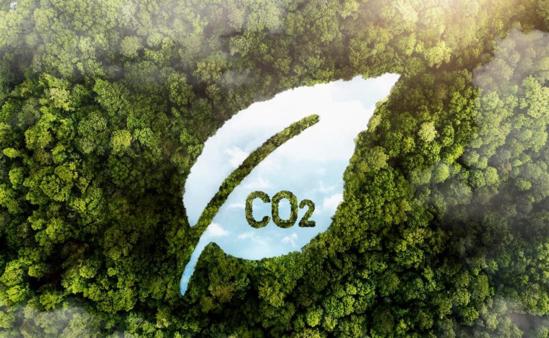 L'autorité des parcs de Tanzanie et CT signent un accord sur un méga projet carbone