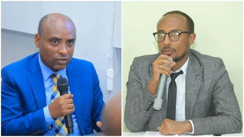 New Minister for Peace - Ethiopia