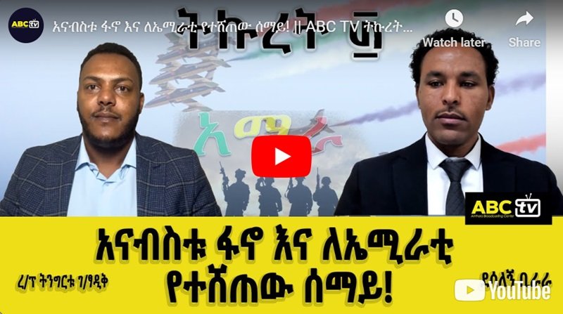 L'intérêt des Émirats arabes unis pour l'Éthiopie, exploitant l'administration d'Abiy Ahmed
